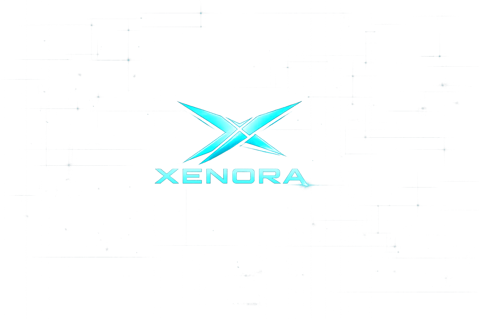 XENORA — Electronică Auto